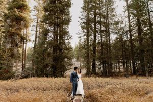 Wedding couple embraces in golden meadow surrounded by tall pine trees in Yosemite forest.