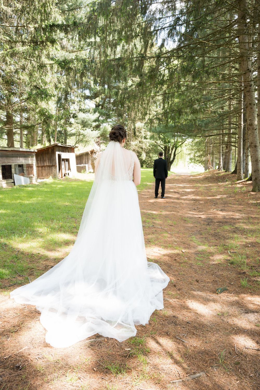 A person in a flowing white wedding dress walks beneath tall evergreen trees on a pine needle covered forest path.