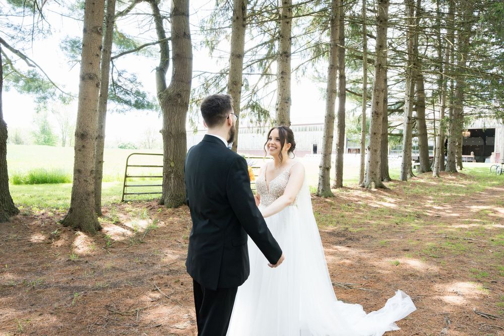 A couple in formal wedding attire stands together among tall pine trees on a sunny afternoon.