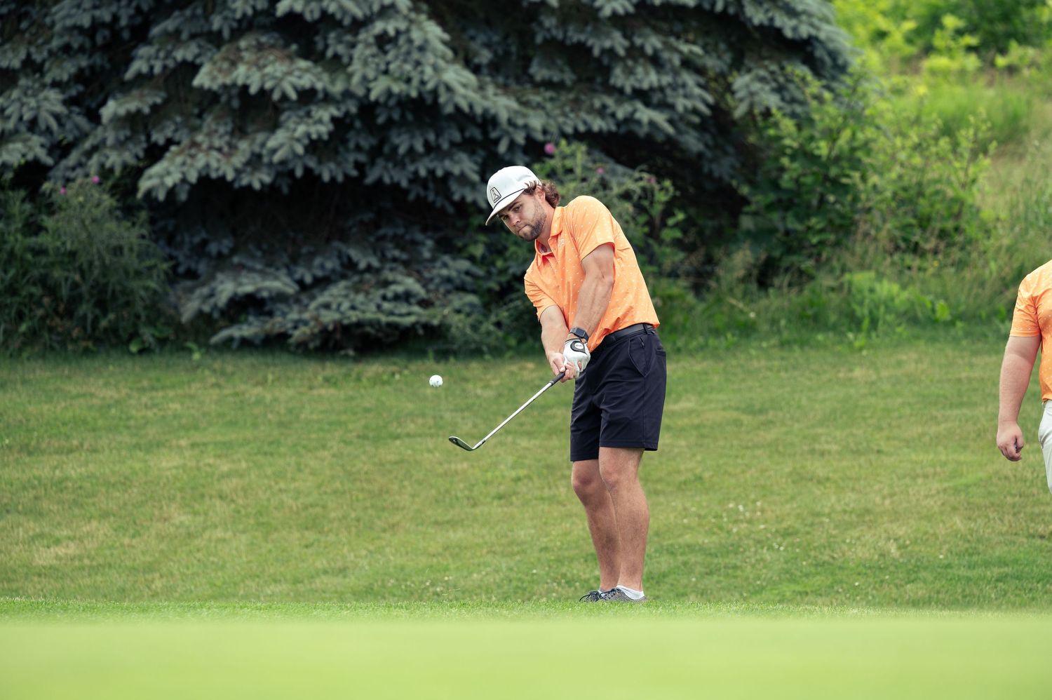 A golfer in an orange shirt and navy shorts swings their club on a green lawn near evergreen trees.