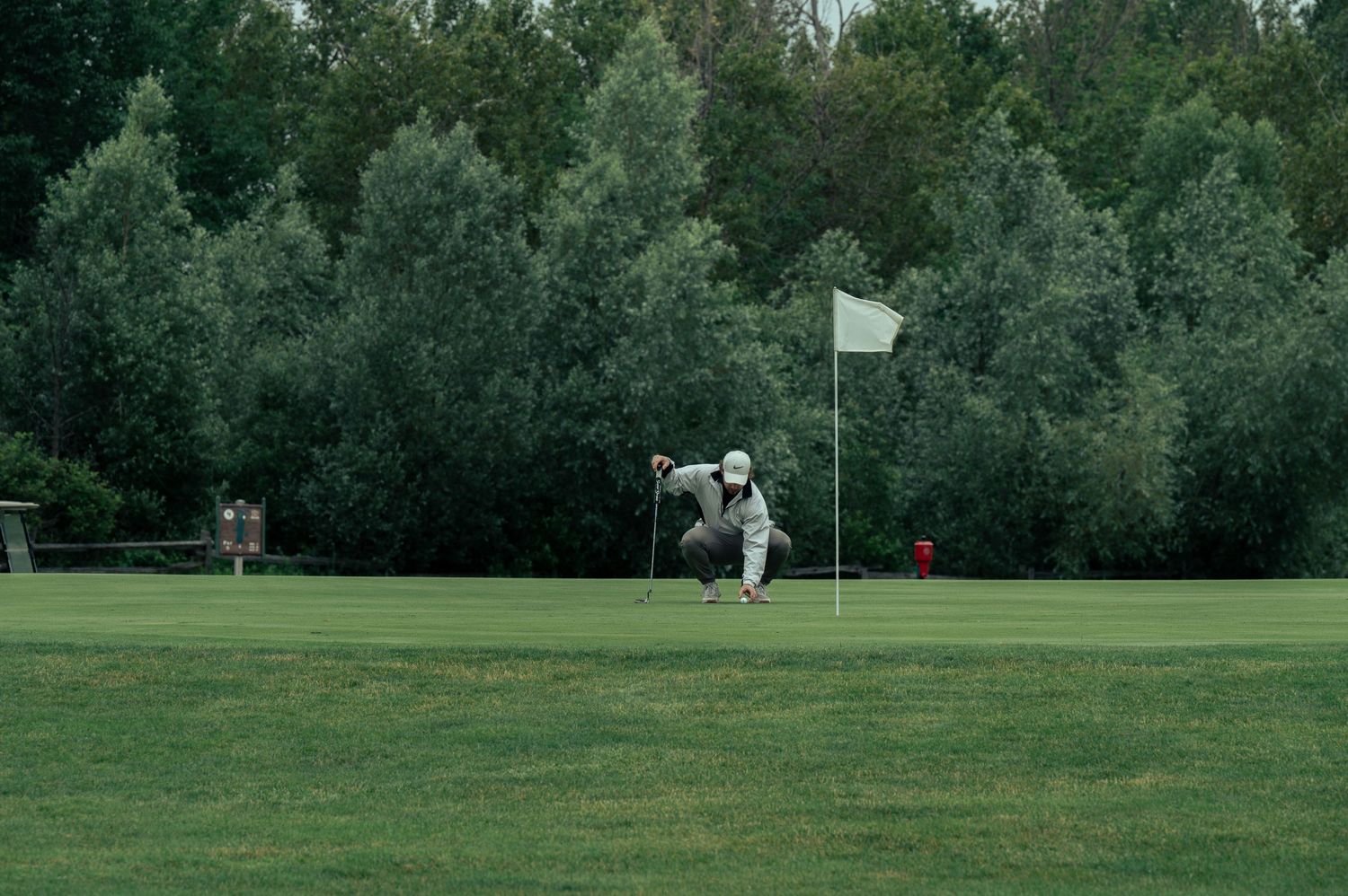 A golfer swings their club on a green course surrounded by lush evergreen trees on a cloudy day.