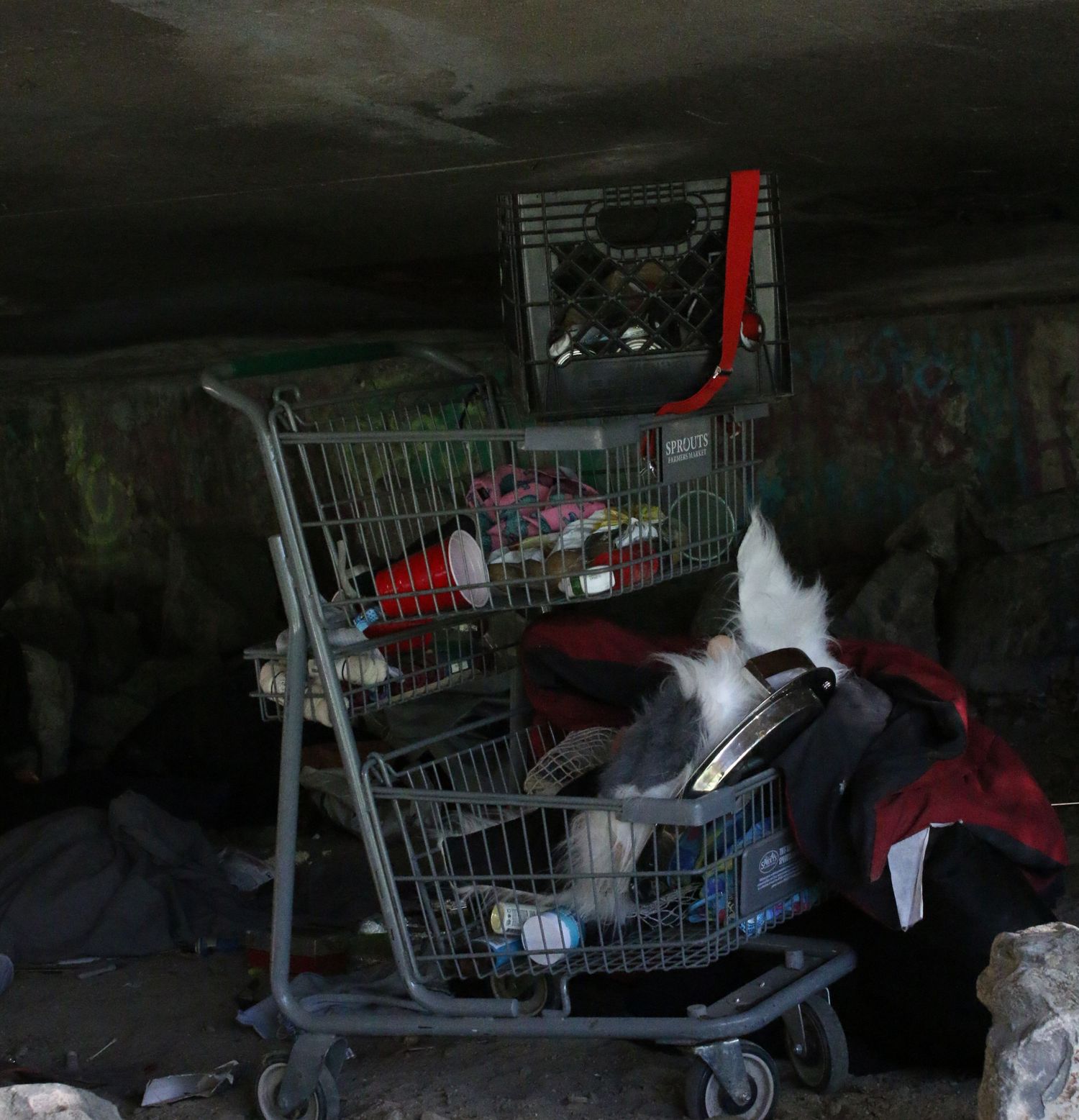 Abandoned shopping carts filled with miscellaneous items under a bridge, suggesting homelessness in an urban setting.