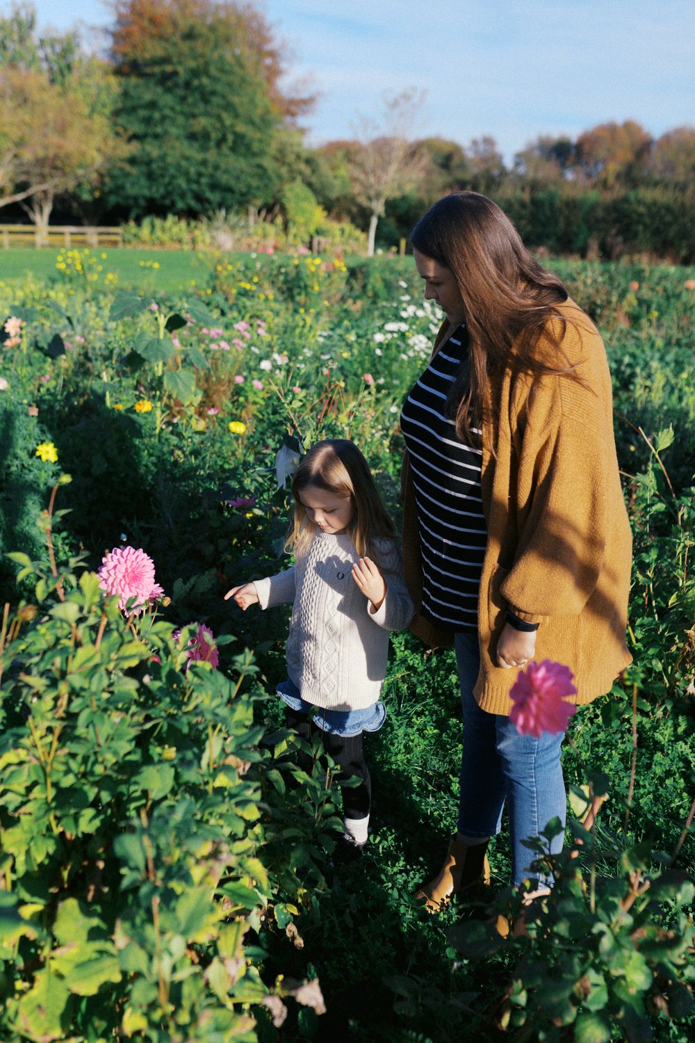 People exploring a vibrant flower garden filled with pink dahlias and wild greenery on a sunny autumn day.
