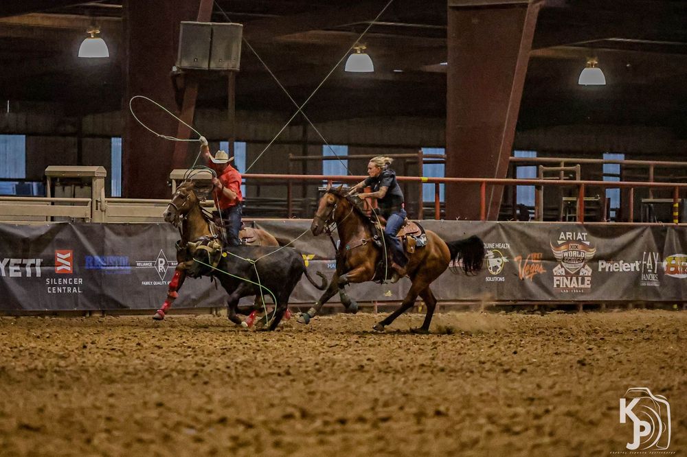 Two cowboys compete in team roping event indoors, one swinging lasso at running calf in arena.