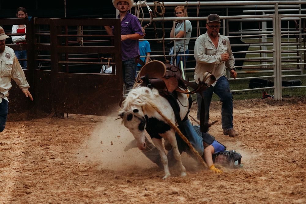 A rodeo competitor falls while attempting to ride a bucking bull in a dusty arena during a competition.