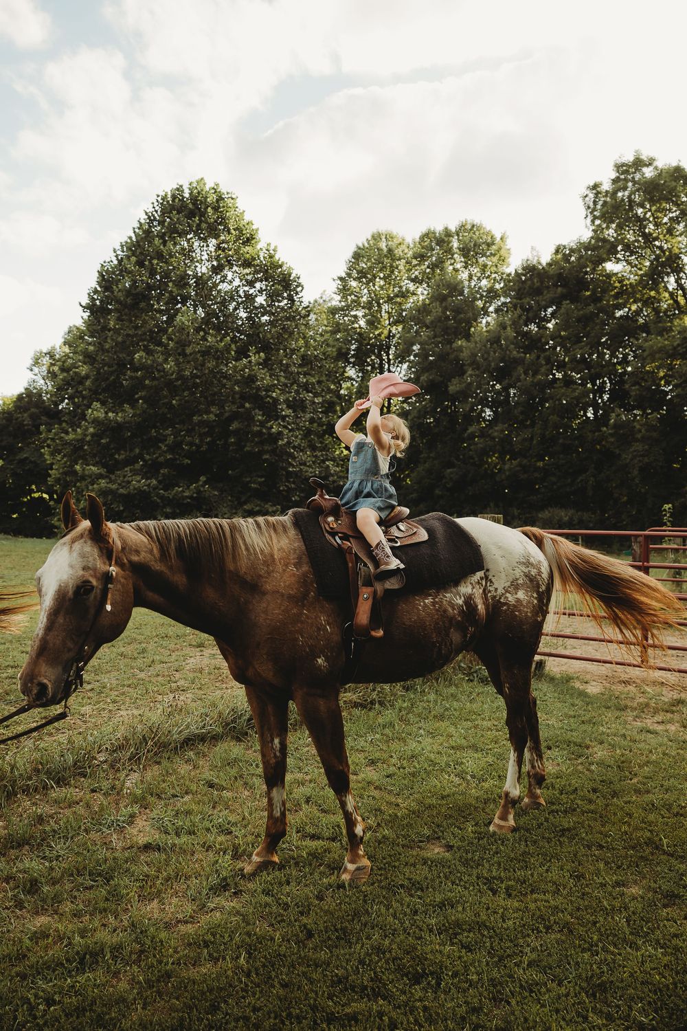 A sequence of images showing someone mounting and riding a brown horse in a grassy field with trees in the background.