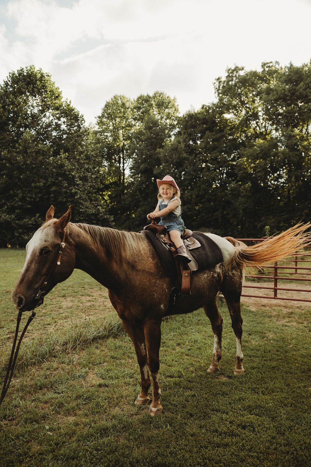 A series of connected photos showing a person mounting and dismounting a brown horse in a grassy field with trees.
