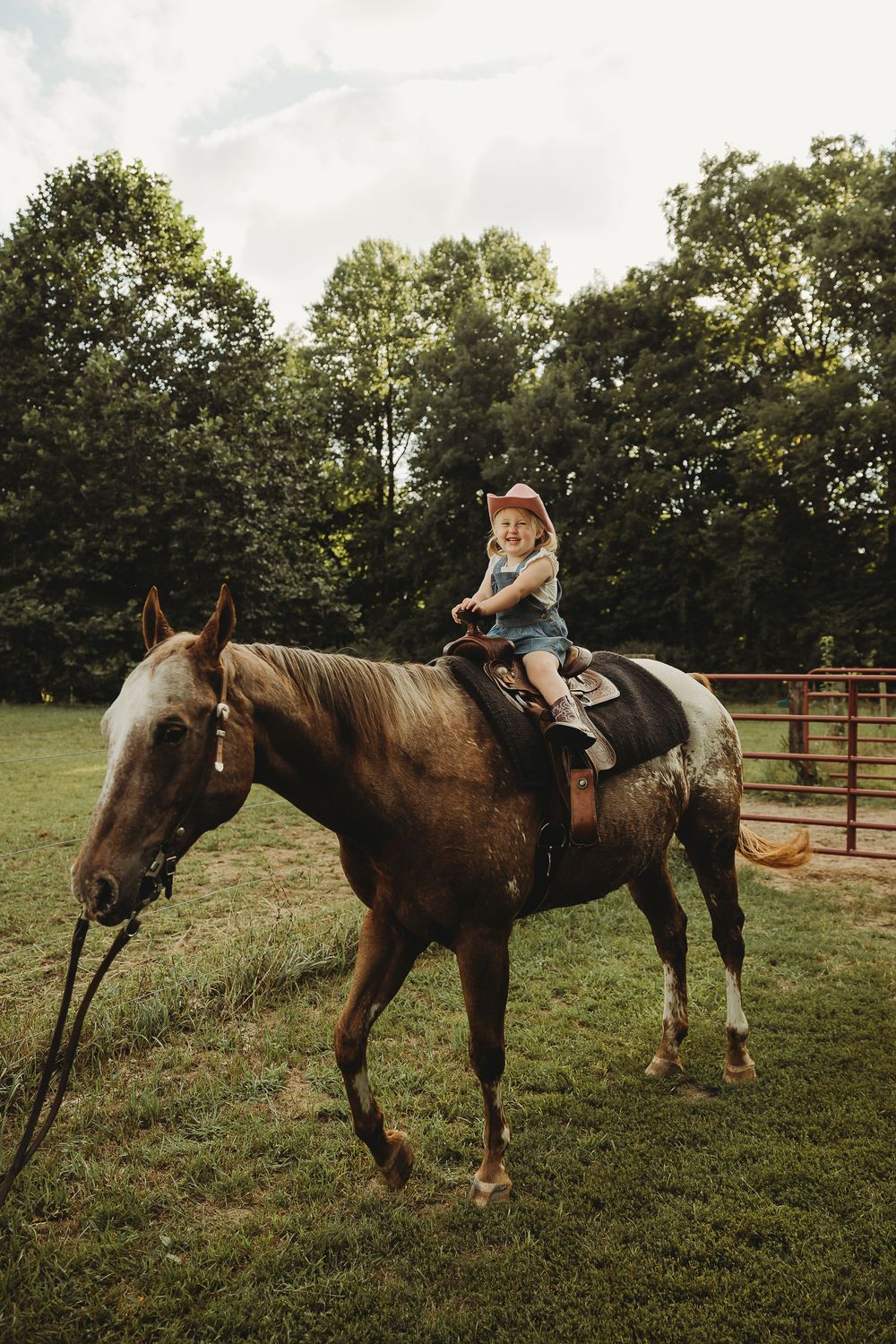 A brown horse stands in a grassy field with a rider on its back during a late afternoon photo session.