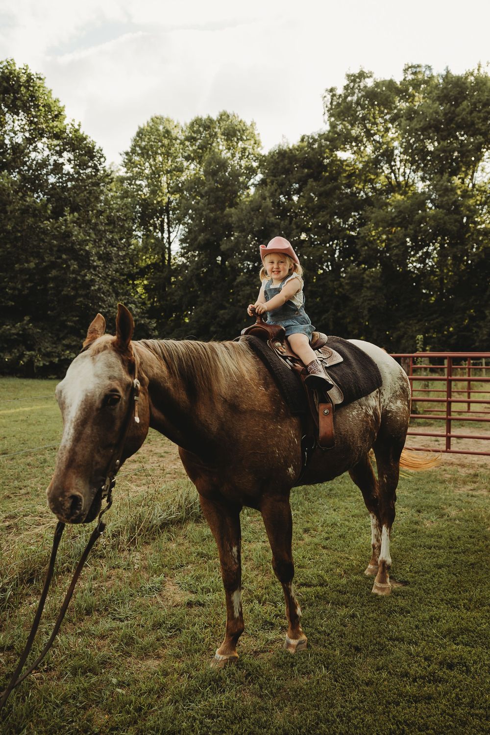 A series of photos showing someone mounting a brown horse in a grassy field with trees in the background.