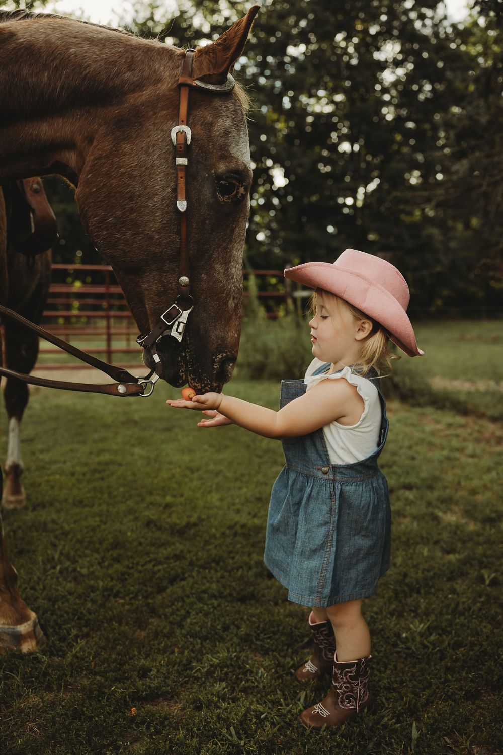 A young child in overalls and boots feeds treats to a brown horse in a grassy field at sunset.