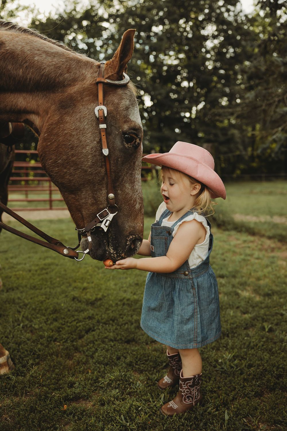 A brown horse and small child in denim overalls share a tender moment in a grassy field at sunset.