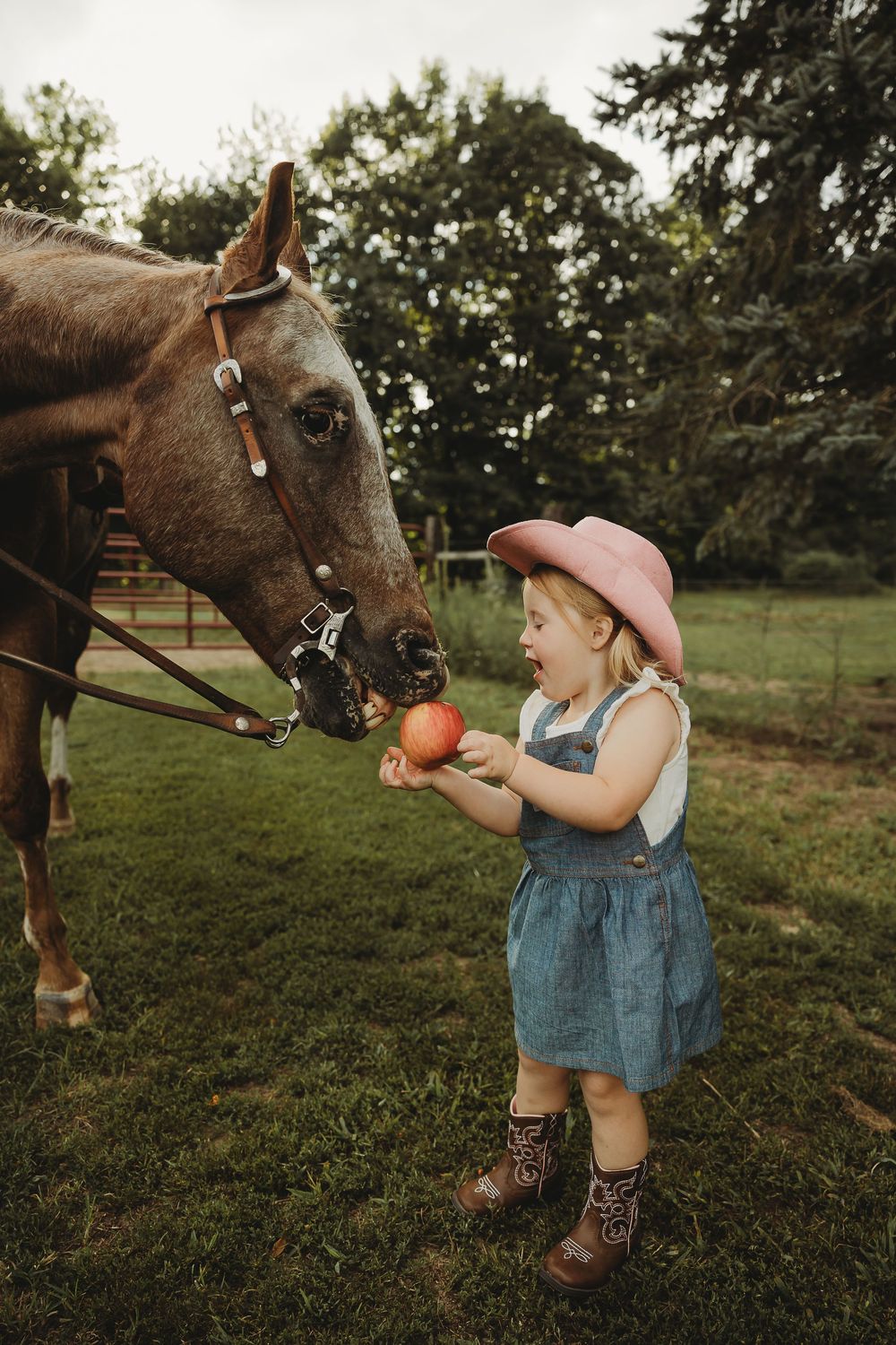 A brown horse and a child in denim overalls share a playful moment with an apple in a grassy field.