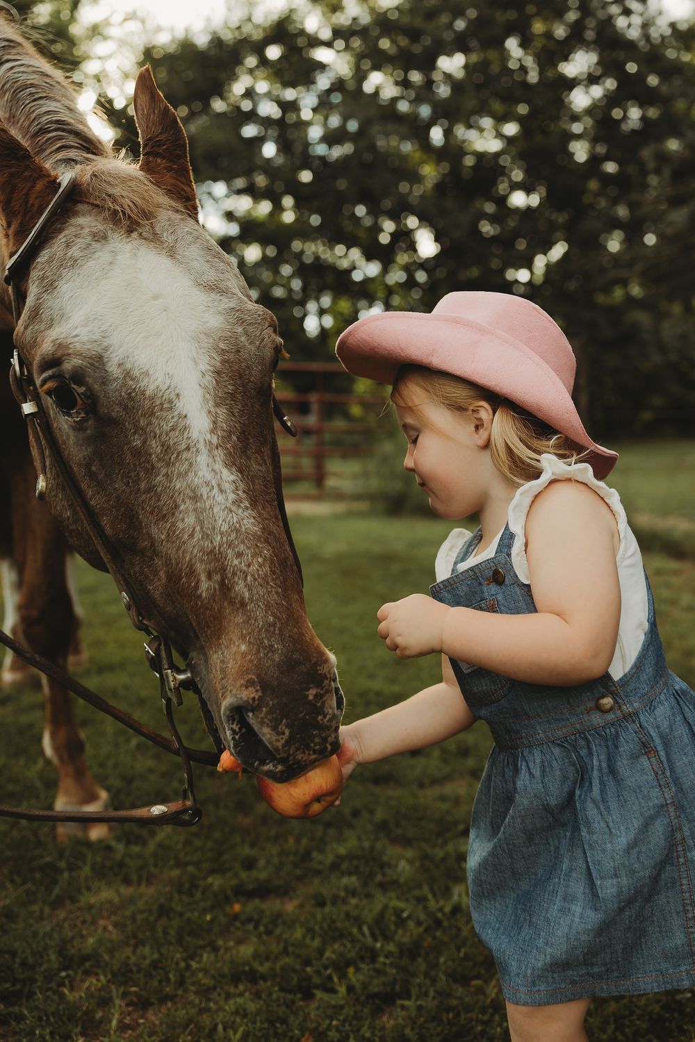 Young child in denim dress and pink hat feeds a carrot to a brown horse in a grassy outdoor setting.