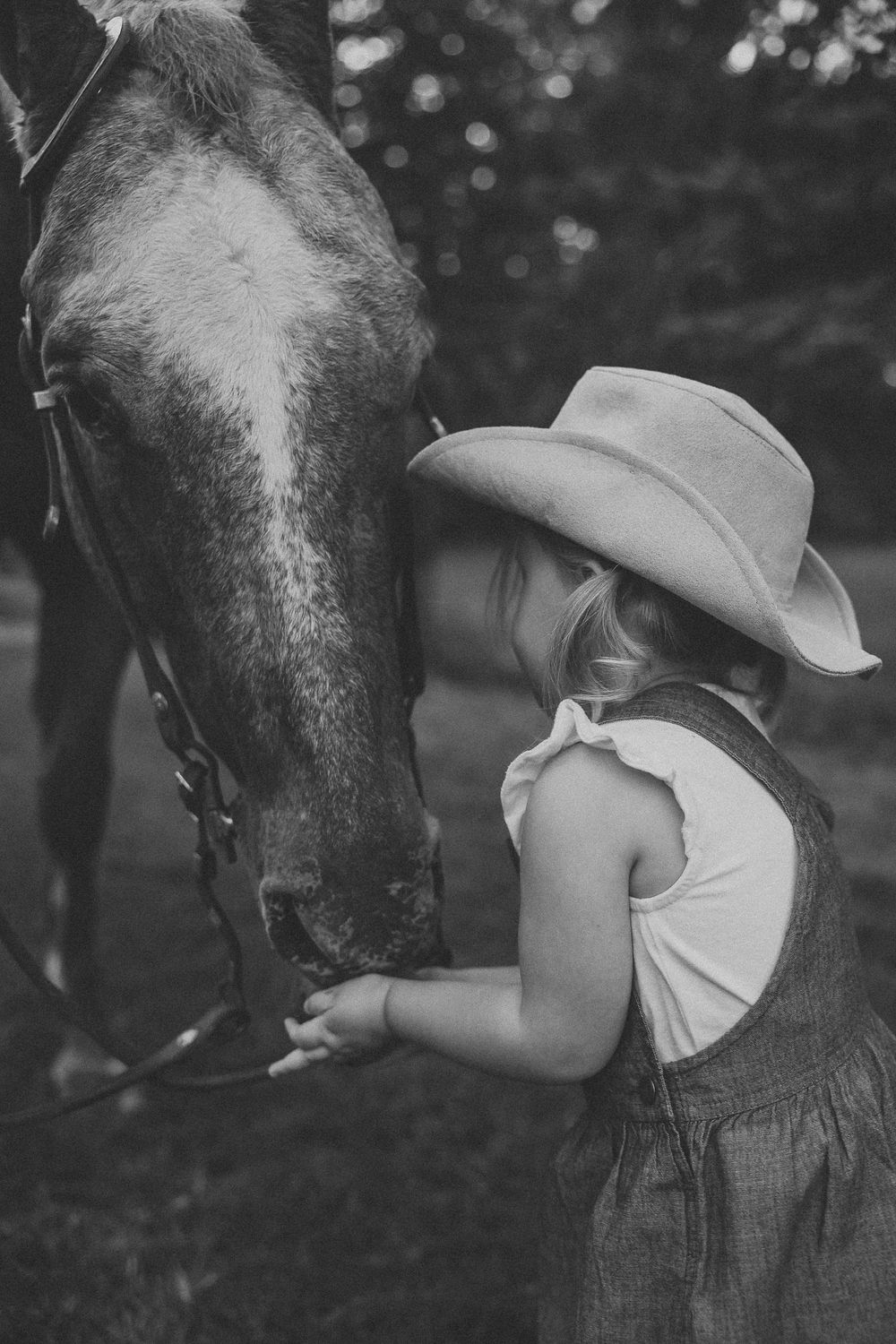A series of black and white photos showing a young child hugging a large tree trunk in a forest setting.