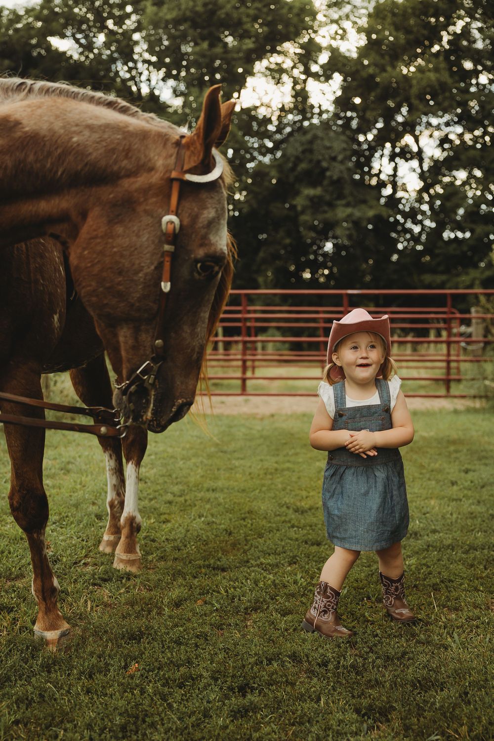 A series of photos showing a brown horse and someone in denim overalls standing in a grassy field at sunset.