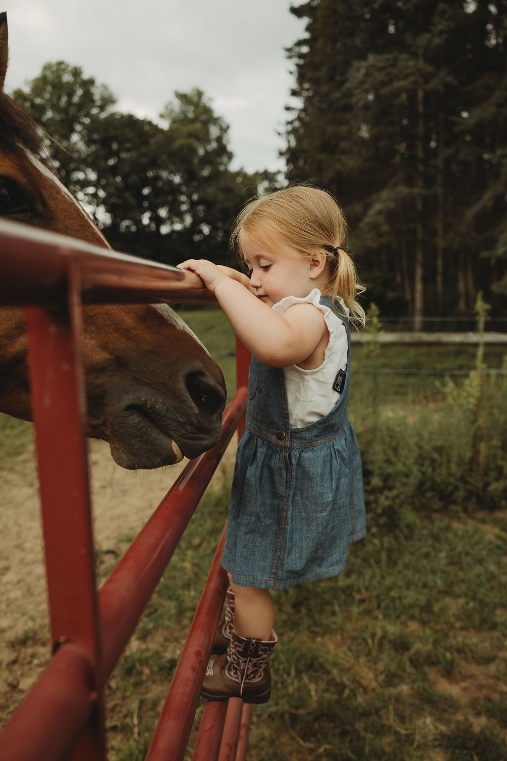 A sequence of photos showing a young child in overalls leaning over to kiss a brown horse through a red fence.