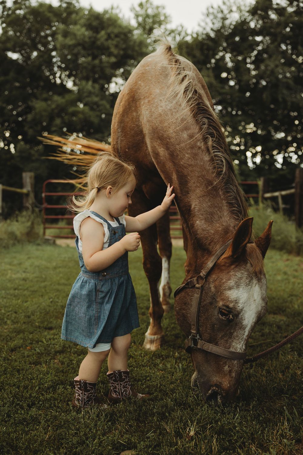 A small child in denim overalls gently pets a brown horse grazing in a grassy field.
