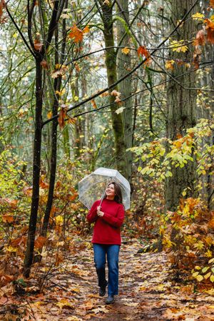 Happy woman in red sweater strolling autumn forest trail with transparent umbrella among fall leaves.