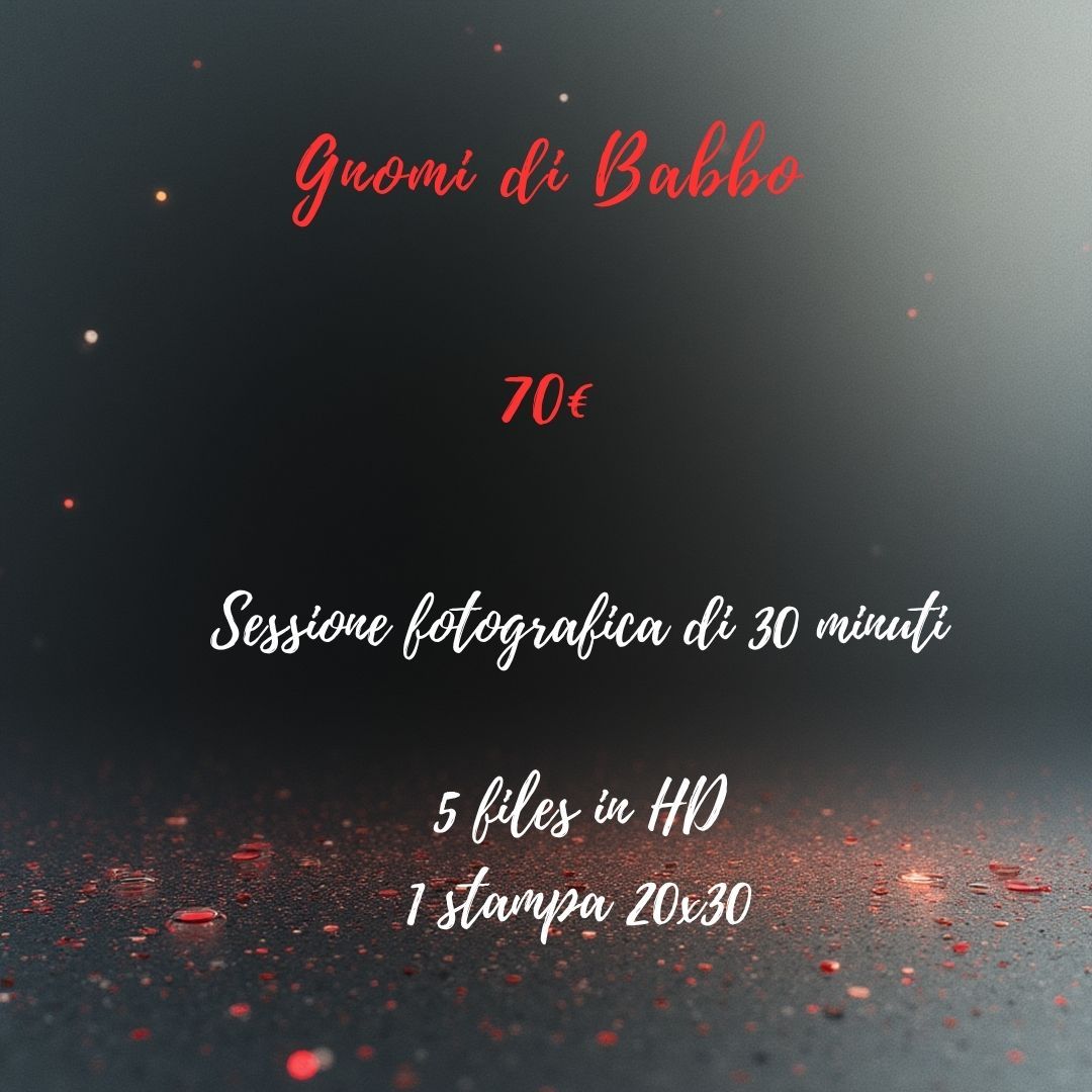 servizio gnomi di babbo 30 minuti 70€