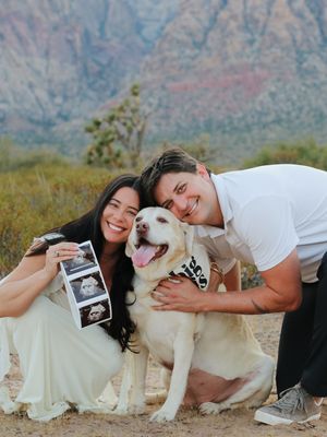 Bright, dreamy, timeless images capturing love, connection, tiny details, and the beautiful seasons of family life in Las Vegas.
