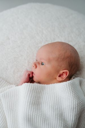 Neutrale newbornfotografie in daglicht studio M te Moerbeke. Melissa Stuer Moederschapsfotograaf  fotograaf