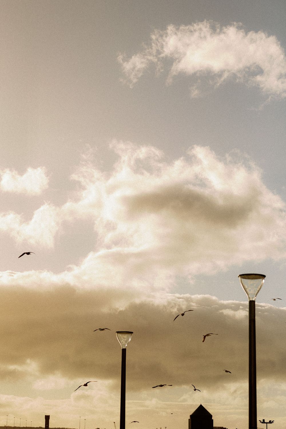 Birds fly around lamp posts against a moody sunset sky with silhouetted buildings in the background.