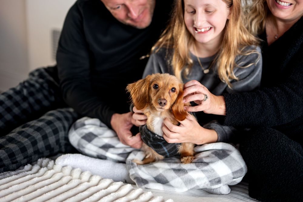 Smiling family with cute dachshund puppy on cozy plaid blanket during Christmas photo session.