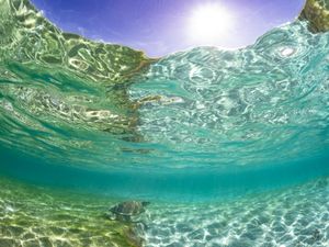 Underwater view of crystal clear turquoise ocean water with sunlight streaming through rippling surface waves.