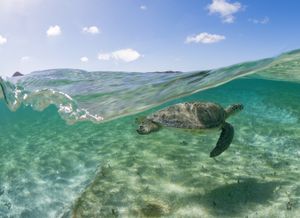 Split view photo shows crystal clear turquoise water meeting a sunny sky with mountains in the background.