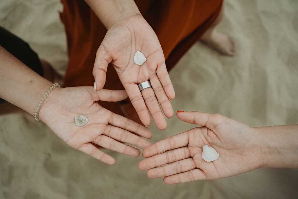 Hands holding seashells, close-up shot