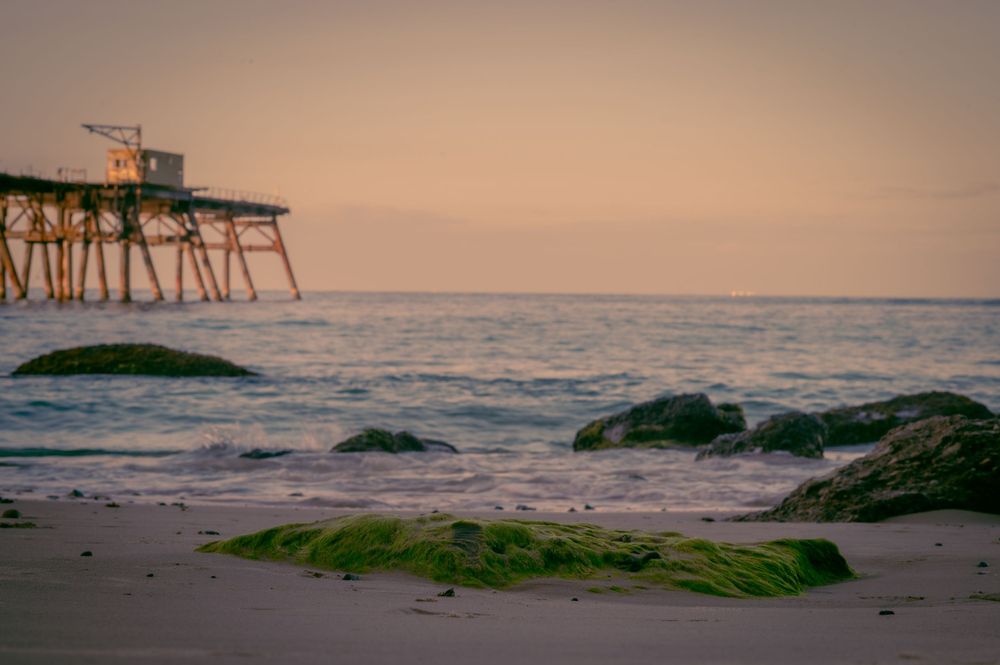 Mossy rocks on beach at sunset with wooden pier silhouetted against orange sky.