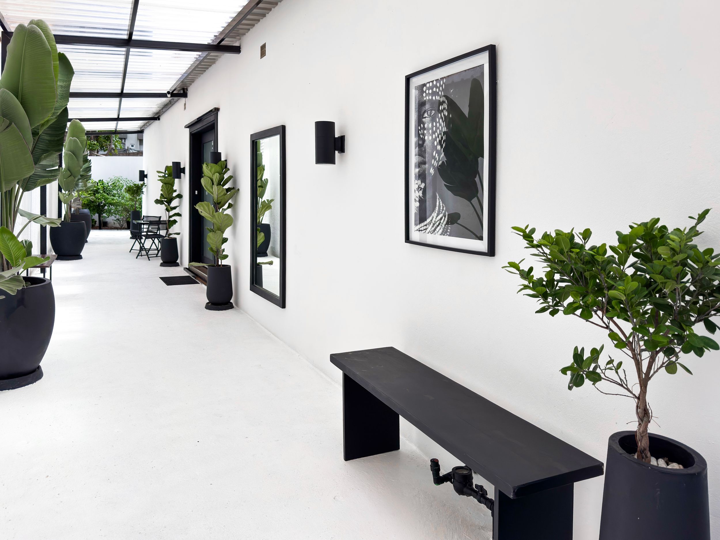 A modern white hallway with black accents features framed artwork and potted plants along the wall.