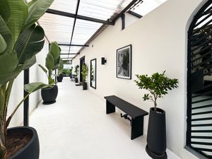 Modern white hallway with potted plants, black bench seating, framed artwork and natural light from skylight above.