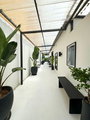 Modern minimalist hallway with white floors, black benches, and large potted tropical plants under a skylit ceiling.