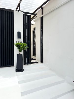 Modern black and white entrance with sleek vertical panels, white steps, and a tall black decorative planter.