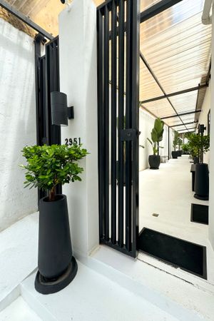 Sleek black door frame and planter with lush green foliage against white walls in a modern corridor design.