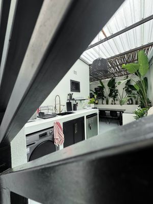 Modern kitchen with black cabinets, white countertops and tropical plants visible through a skylight in a minimalist setting.