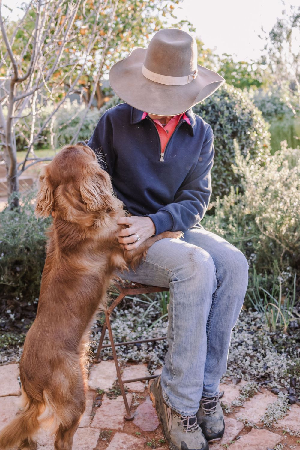 Person in cowboy hat sitting on stone bench pets friendly golden retriever dog.