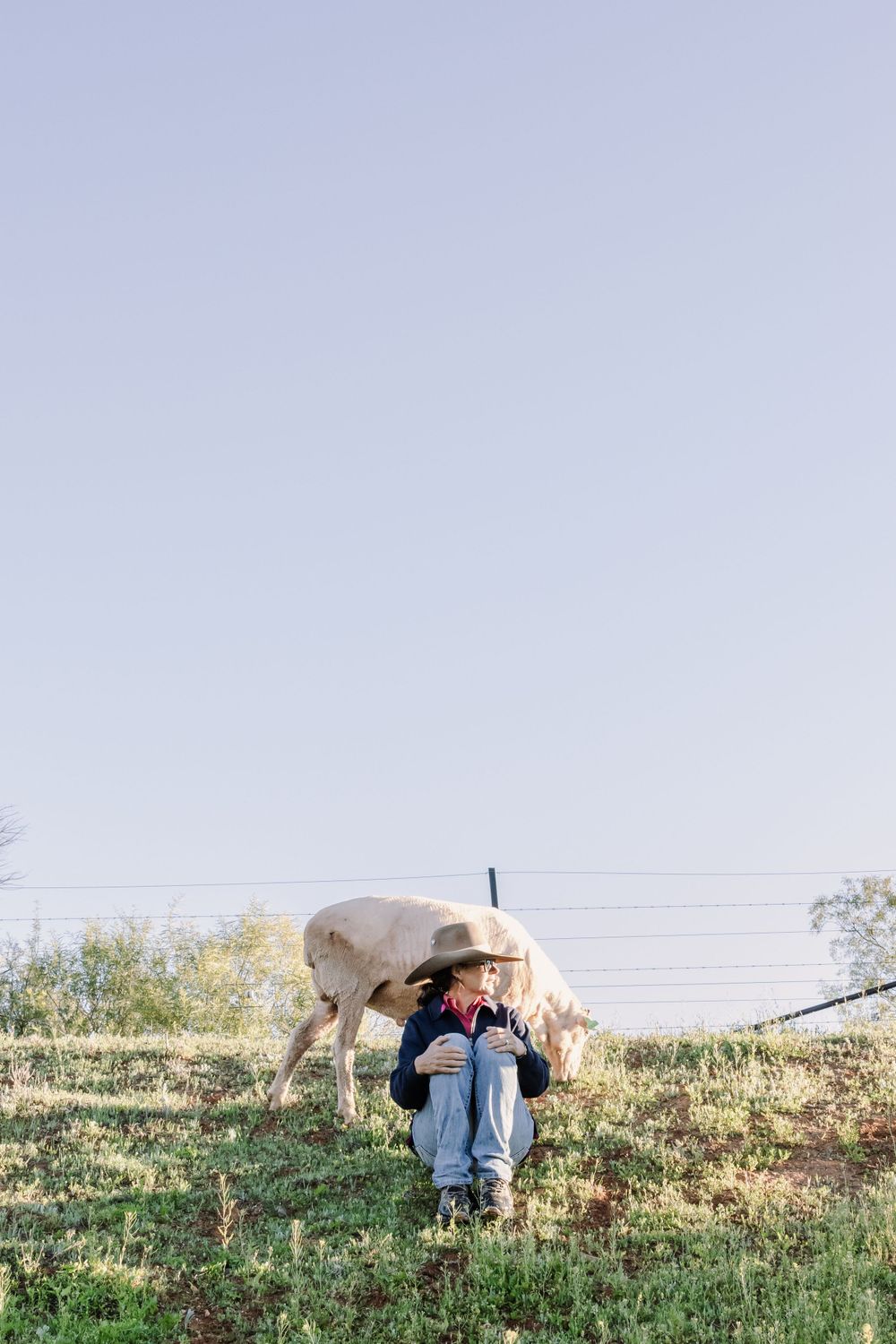 Person in casual wear sits on grassy hill with white horse grazing nearby.