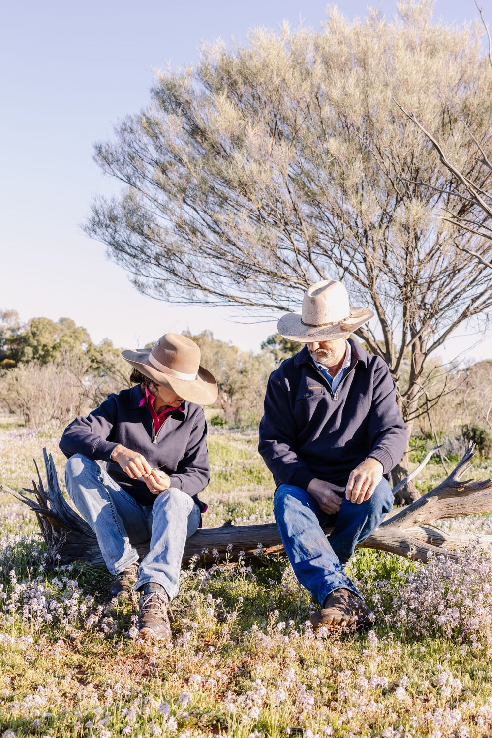 Two people in cowboy hats sitting on fence under desert tree.