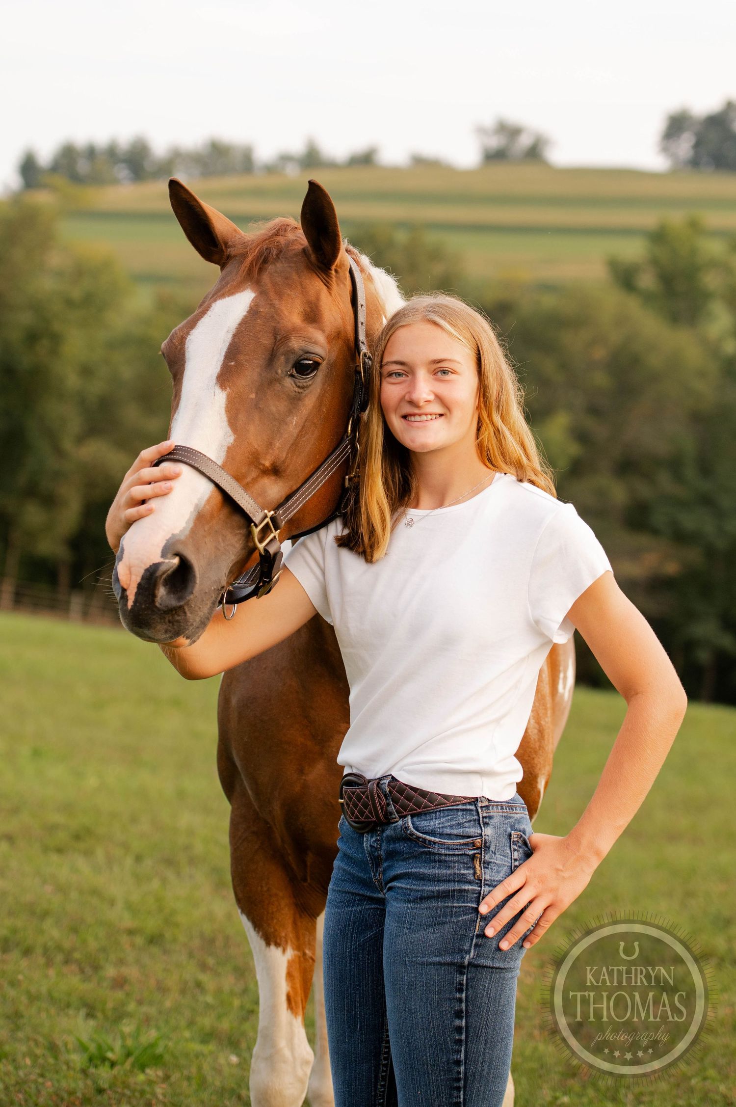 A friendly paint horse poses close up in a grassy field during sunset.