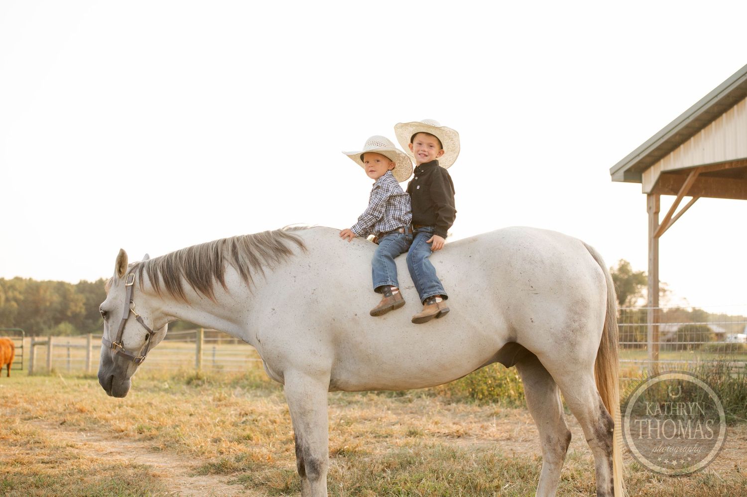 Children riding on a white horse during golden hour on a ranch.