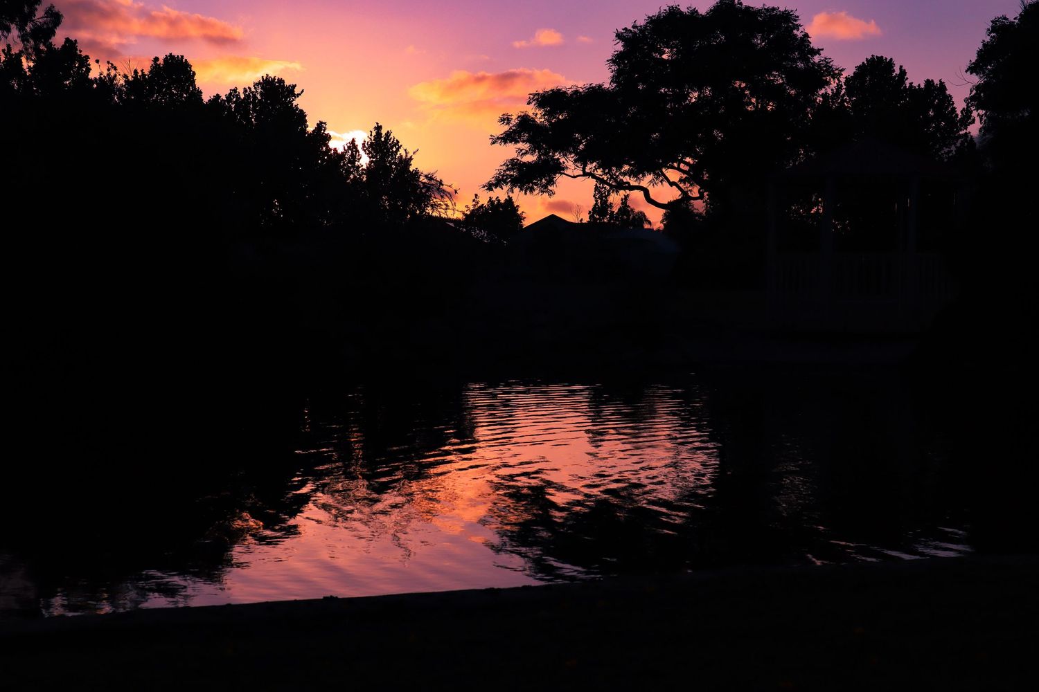 sunset