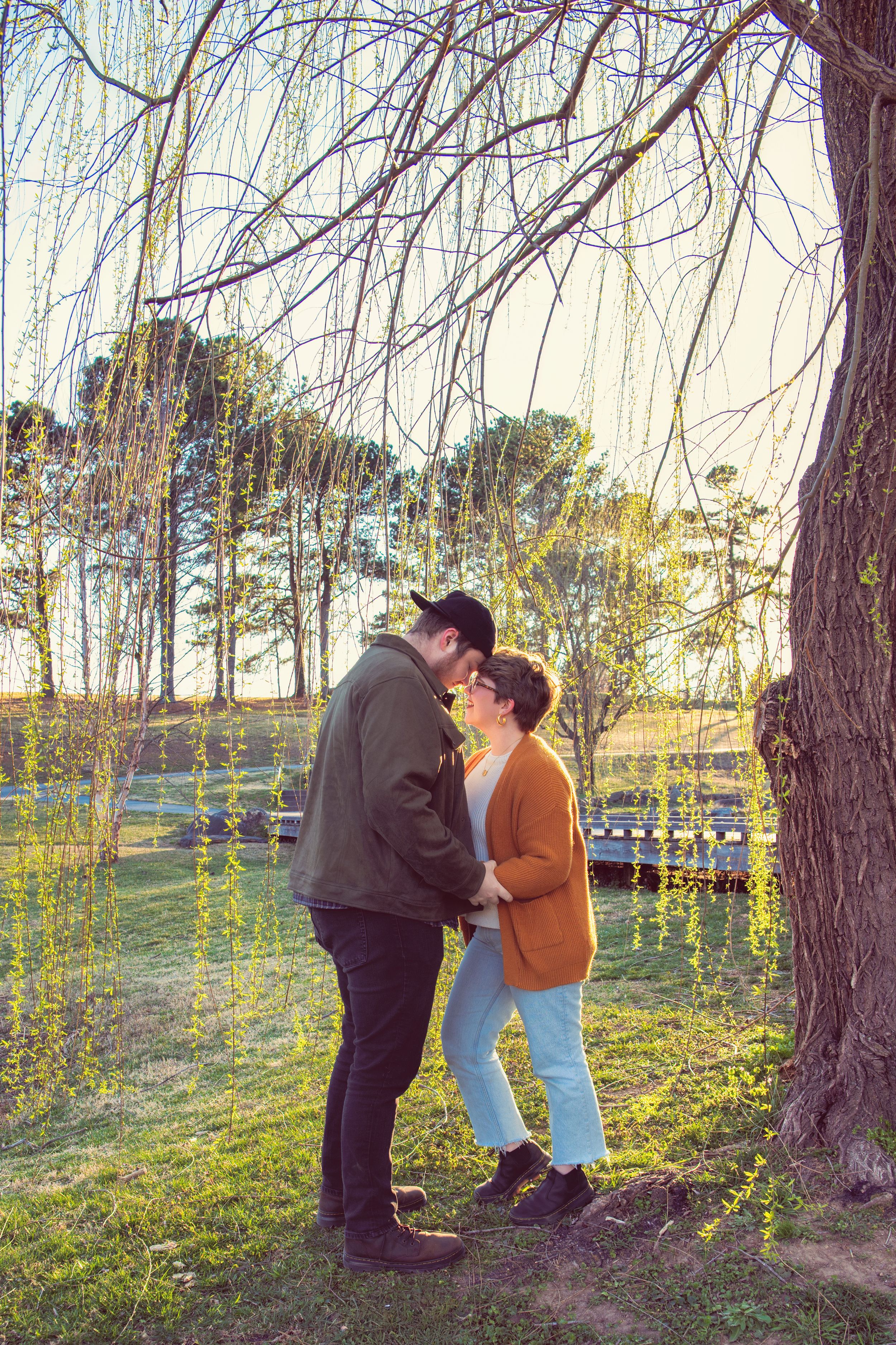 A tender romantic moment between two people beneath a weeping willow tree at sunset.