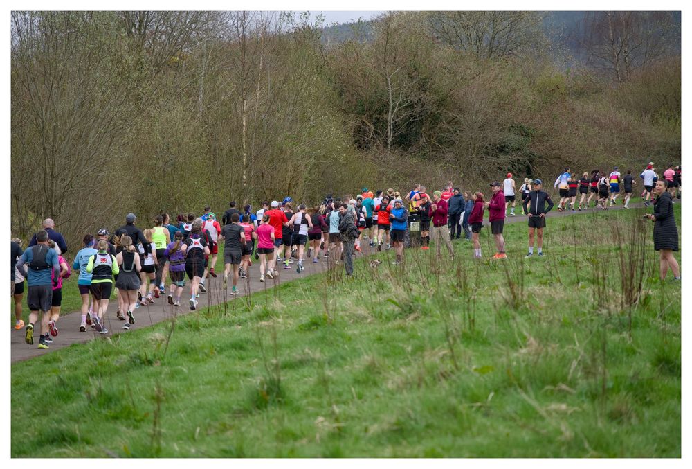 Large group of runners racing along a grass path through woodland in an outdoor cross country event.