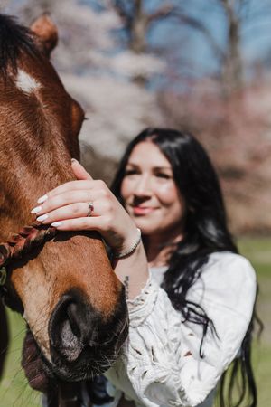 A close-up series of shots showing a brown horse being gently petted by someone wearing a white lace sleeve.
