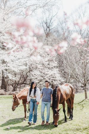 Spring engagement photos with a couple and horses under blooming cherry trees.