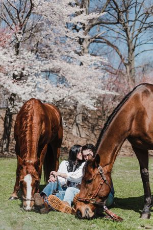 A sequence of photos showing a brown horse grazing under blooming cherry blossom trees in spring.