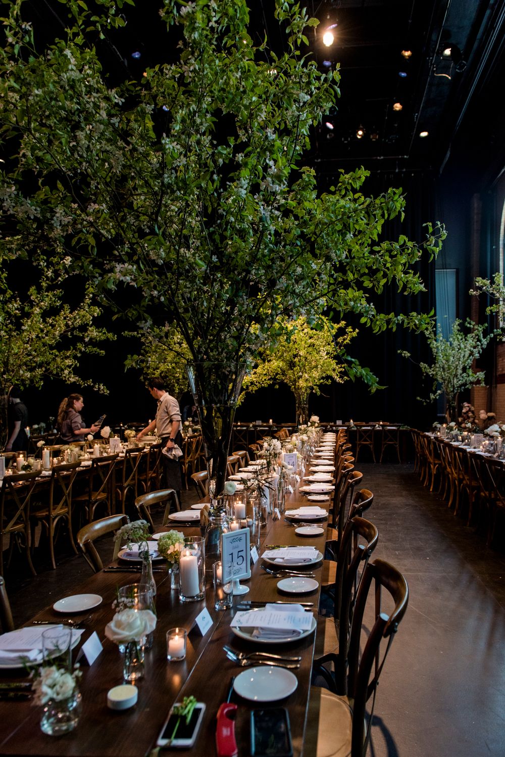 Elegant wedding reception venue with long tables set under green trees and ambient lighting creating a romantic atmosphere.