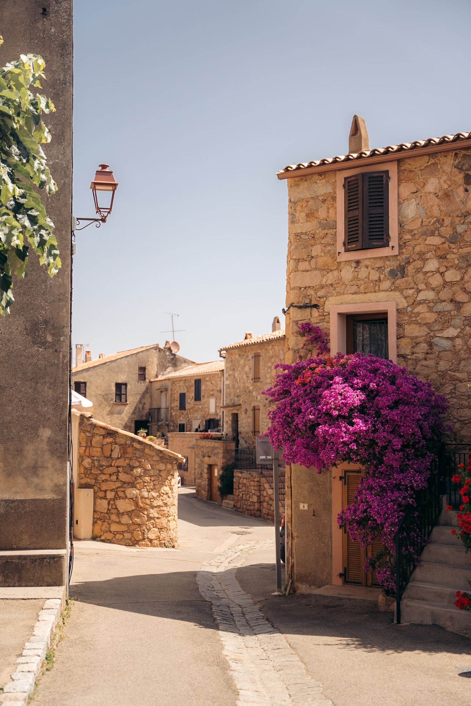 ruelle du village de piana en corse avec un bougainvillier rose en fleur